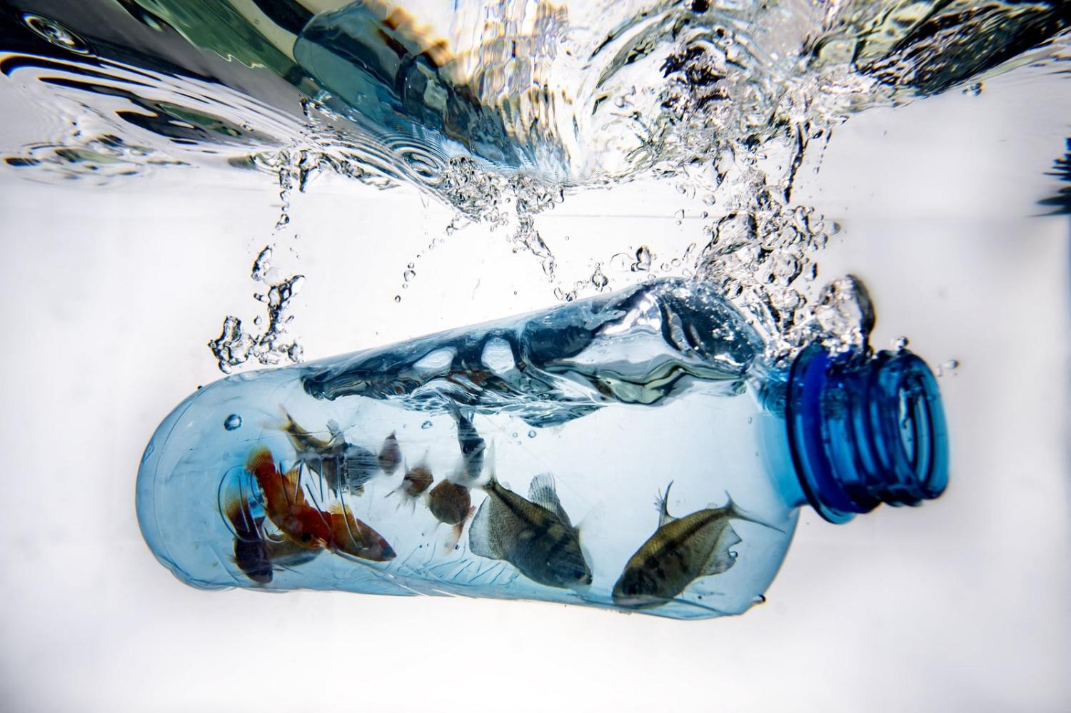 Biodiversity in the high seas faces a range of threats, including pollution (Olivier Morin/AFP via Getty Images)